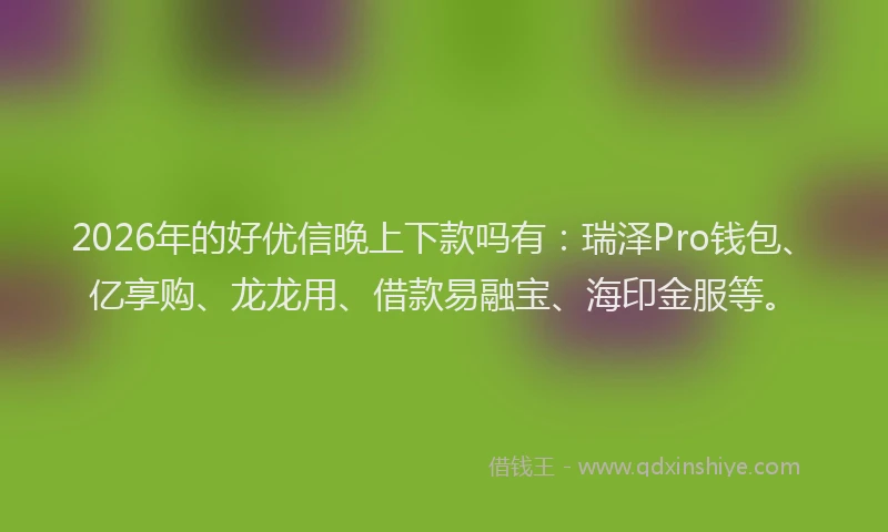 2026年的好优信晚上下款吗有：瑞泽Pro钱包、亿享购、龙龙用、借款易融宝、海印金服等。