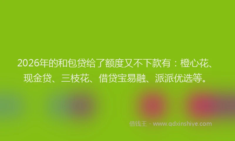 2026年的和包贷给了额度又不下款有：橙心花、现金贷、三枝花、借贷宝易融、派派优选等。