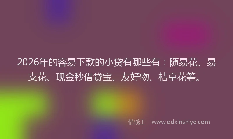2026年的容易下款的小贷有哪些有：随易花、易支花、现金秒借贷宝、友好物、桔享花等。