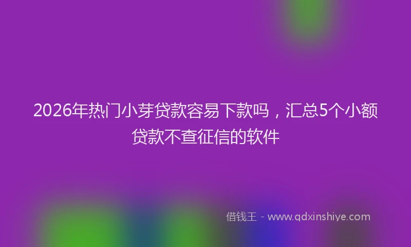 2026年热门小芽贷款容易下款吗，汇总5个小额贷款不查征信的软件