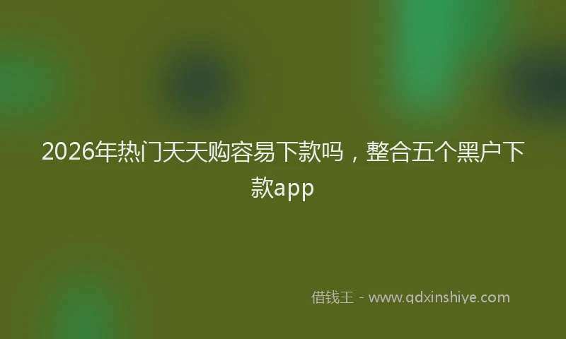 2026年热门天天购容易下款吗，整合五个黑户下款app
