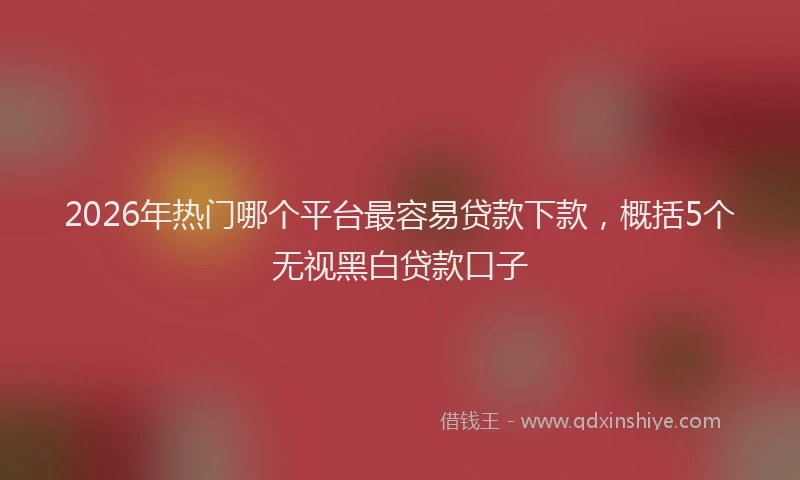 2026年热门哪个平台最容易贷款下款，概括5个无视黑白贷款口子