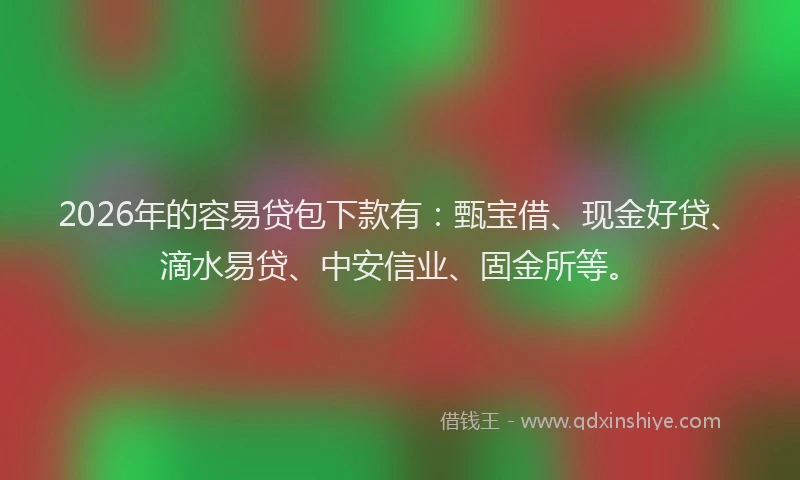 2026年的容易贷包下款有：甄宝借、现金好贷、滴水易贷、中安信业、固金所等。