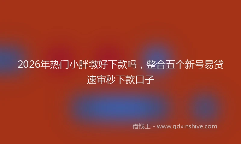 2026年热门小胖墩好下款吗,整合五个新号易贷速审秒下款口子