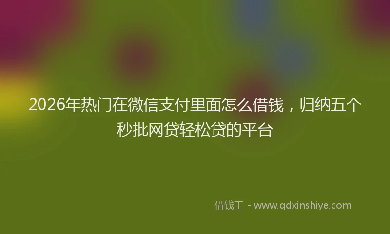 2026年热门在微信支付里面怎么借钱，归纳五个秒批网贷轻松贷的平台