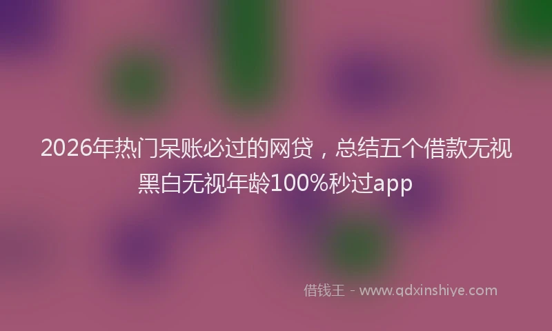 2026年热门呆账必过的网贷，总结五个借款无视黑白无视年龄100%秒过app