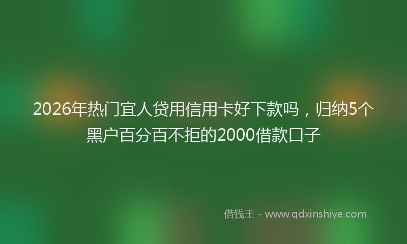 2026年热门宜人贷用信用卡好下款吗，归纳5个黑户百分百不拒的2000借款口子