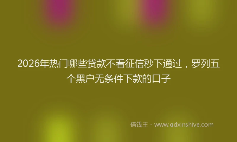 2026年热门哪些贷款不看征信秒下通过，罗列五个黑户无条件下款的口子