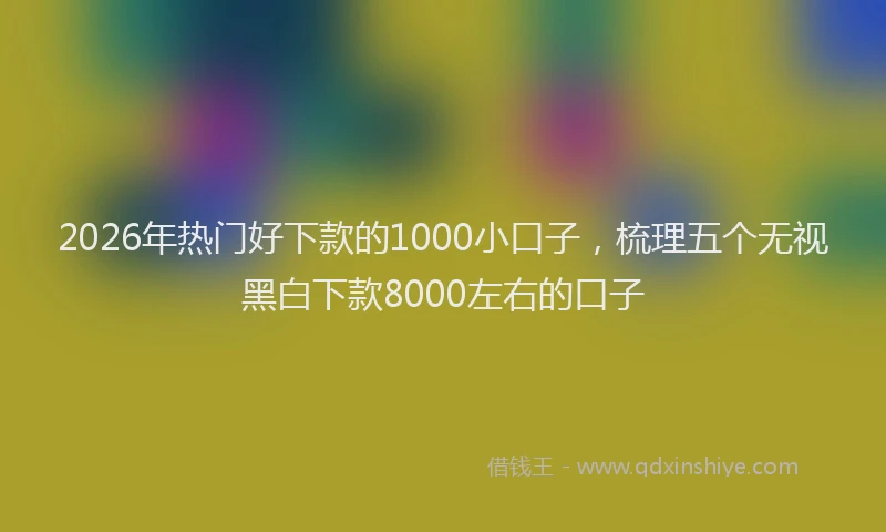 2026年热门好下款的1000小口子，梳理五个无视黑白下款8000左右的口子