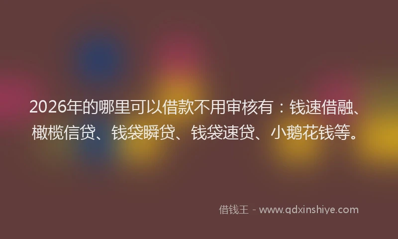 2026年的哪里可以借款不用审核有：钱速借融、橄榄信贷、钱袋瞬贷、钱袋速贷、小鹅花钱等。