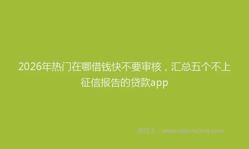2026年热门在哪借钱快不要审核，汇总五个不上征信报告的贷款app
