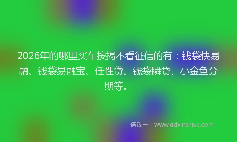 2026年的哪里买车按揭不看征信的有：钱袋快易融、钱袋易融宝、任性贷、钱袋瞬贷、小金鱼分期等。