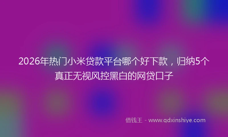 2026年热门小米贷款平台哪个好下款，归纳5个真正无视风控黑白的网贷口子