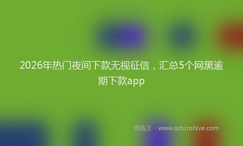2026年热门夜间下款无视征信，汇总5个网黑逾期下款app