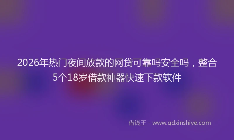 2026年热门夜间放款的网贷可靠吗安全吗，整合5个18岁借款神器快速下款软件