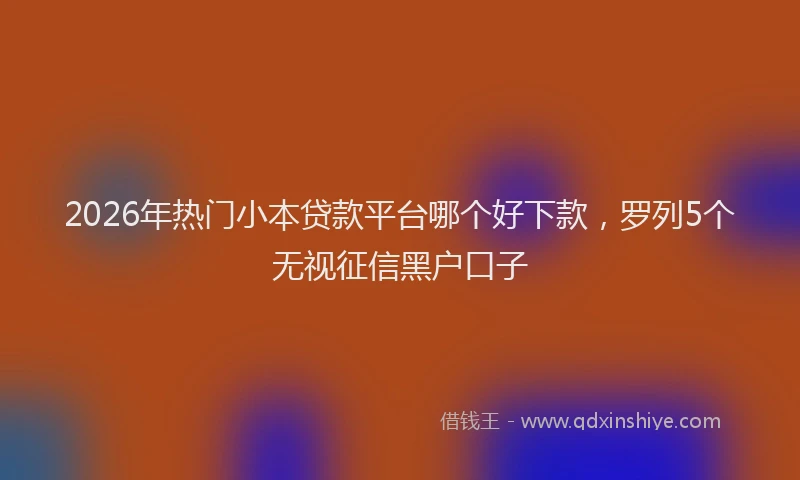 2026年热门小本贷款平台哪个好下款，罗列5个无视征信黑户口子