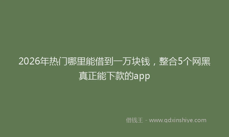 2026年热门哪里能借到一万块钱，整合5个网黑真正能下款的app