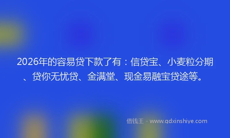 2026年的容易贷下款了有：信贷宝、小麦粒分期、贷你无忧贷、金满堂、现金易融宝贷途等。