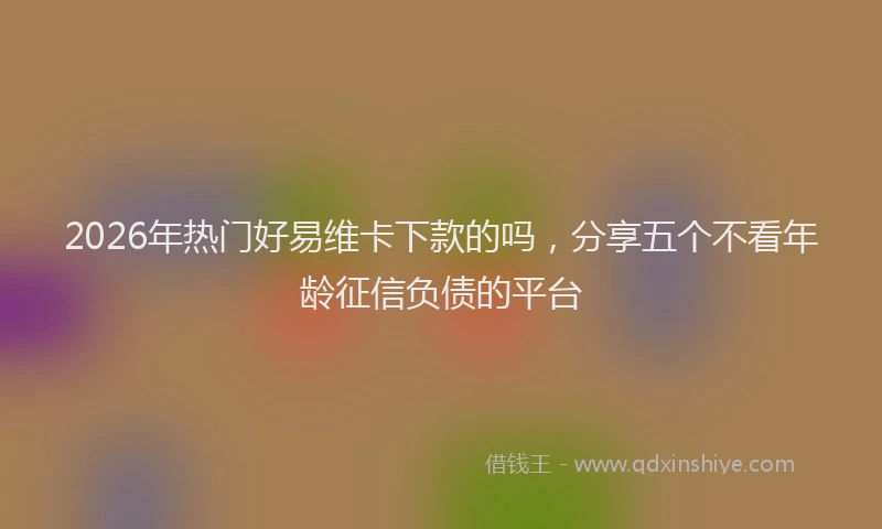 2026年热门好易维卡下款的吗，分享五个不看年龄征信负债的平台