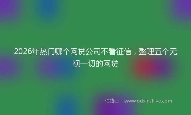 2026年热门哪个网贷公司不看征信，整理五个无视一切的网贷