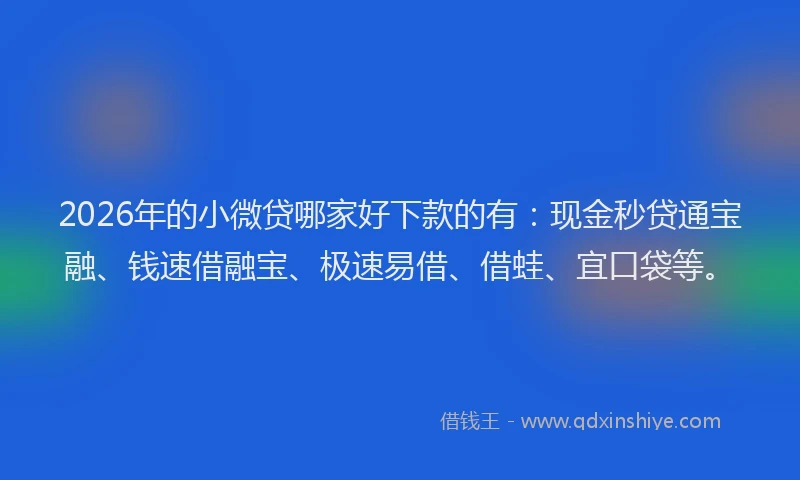 2026年的小微贷哪家好下款的有：现金秒贷通宝融、钱速借融宝、极速易借、借蛙、宜口袋等。