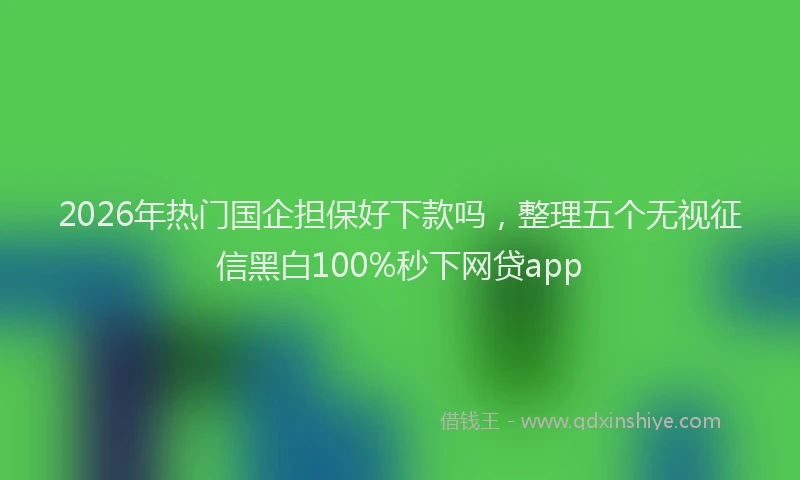 2026年热门国企担保好下款吗，整理五个无视征信黑白100%秒下网贷app