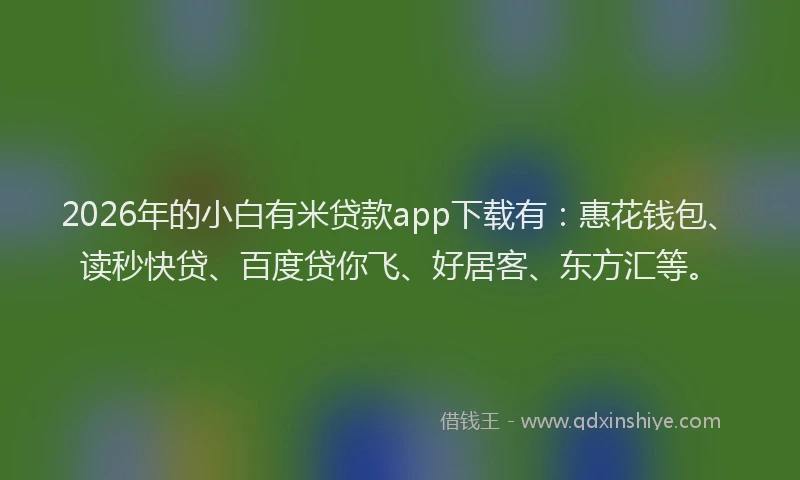 2026年的小白有米贷款app下载有：惠花钱包、读秒快贷、百度贷你飞、好居客、东方汇等。