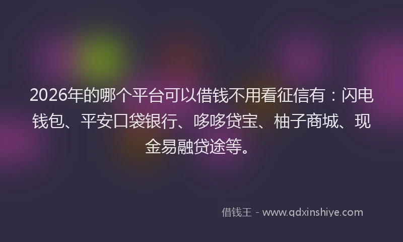 2026年的哪个平台可以借钱不用看征信有：闪电钱包、平安口袋银行、哆哆贷宝、柚子商城、现金易融贷途等。