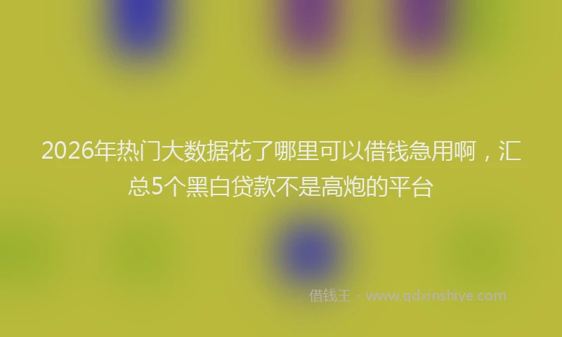 2026年热门大数据花了哪里可以借钱急用啊，汇总5个黑白贷款不是高炮的平台