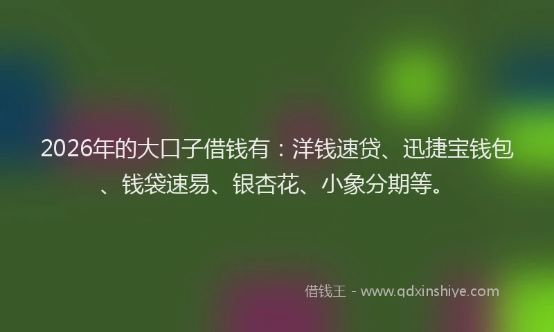 2026年的大口子借钱有：洋钱速贷、迅捷宝钱包、钱袋速易、银杏花、小象分期等。