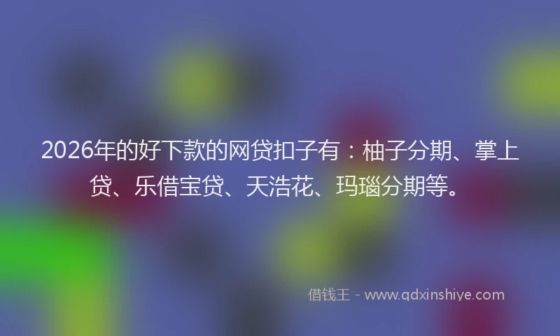 2026年的好下款的网贷扣子有：柚子分期、掌上贷、乐借宝贷、天浩花、玛瑙分期等。