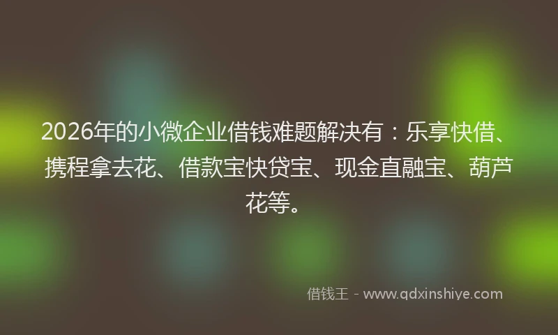 2026年的小微企业借钱难题解决有：乐享快借、携程拿去花、借款宝快贷宝、现金直融宝、葫芦花等。