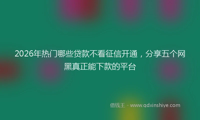 2026年热门哪些贷款不看征信开通，分享五个网黑真正能下款的平台
