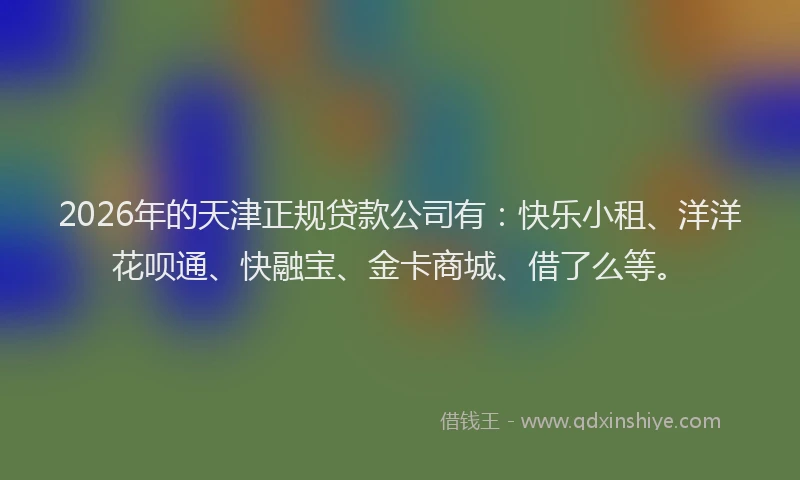 2026年的天津正规贷款公司有：快乐小租、洋洋花呗通、快融宝、金卡商城、借了么等。