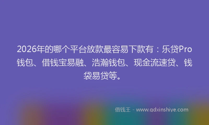 2026年的哪个平台放款最容易下款有：乐贷Pro钱包、借钱宝易融、浩瀚钱包、现金流速贷、钱袋易贷等。