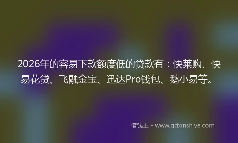 2026年的容易下款额度低的贷款有：快莱购、快易花贷、飞融金宝、迅达Pro钱包、鹅小易等。