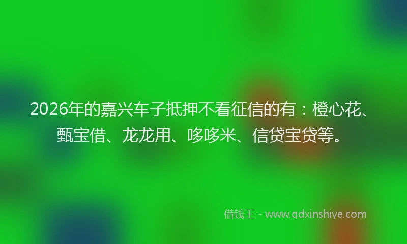 2026年的嘉兴车子抵押不看征信的有：橙心花、甄宝借、龙龙用、哆哆米、信贷宝贷等。