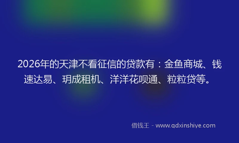 2026年的天津不看征信的贷款有：金鱼商城、钱速达易、玥成租机、洋洋花呗通、粒粒贷等。