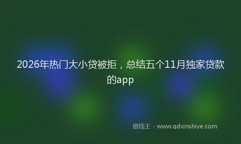 2026年热门大小贷被拒，总结五个11月独家贷款的app