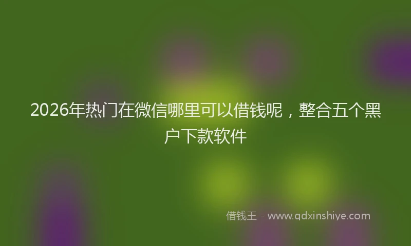 2026年热门在微信哪里可以借钱呢，整合五个黑户下款软件
