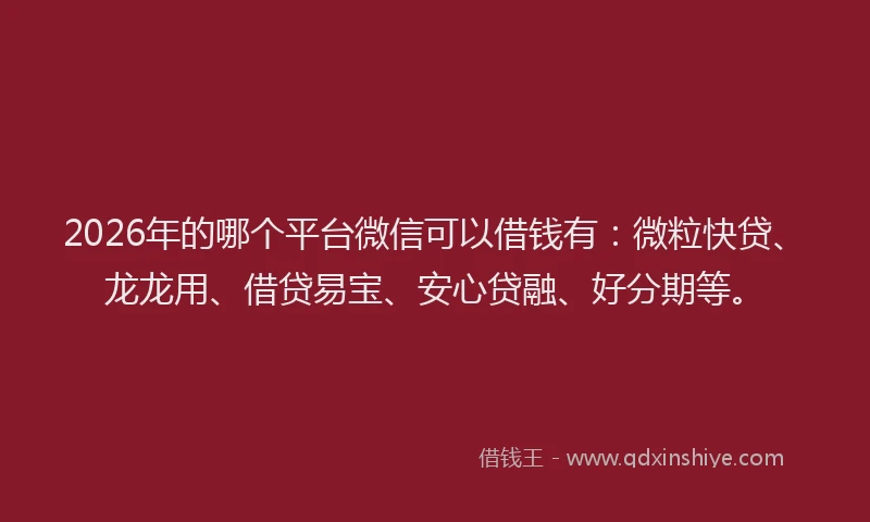 2026年的哪个平台微信可以借钱有：微粒快贷、龙龙用、借贷易宝、安心贷融、好分期等。