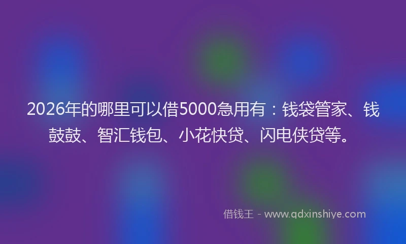 2026年的哪里可以借5000急用有：钱袋管家、钱鼓鼓、智汇钱包、小花快贷、闪电侠贷等。