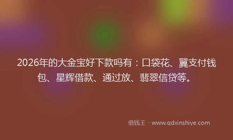 2026年的大金宝好下款吗有：口袋花、翼支付钱包、星辉借款、通过放、翡翠信贷等。