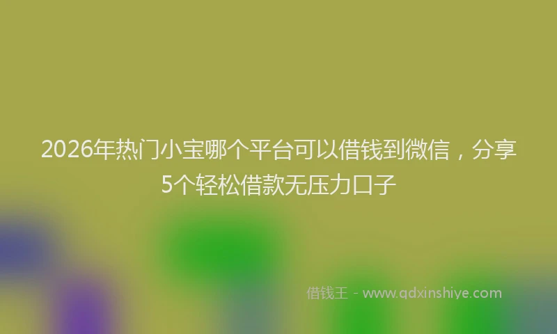 2026年热门小宝哪个平台可以借钱到微信，分享5个轻松借款无压力口子