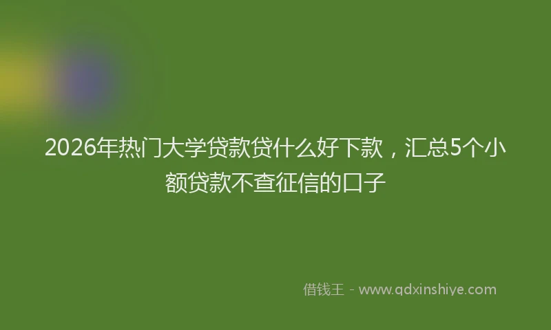 2026年热门大学贷款贷什么好下款，汇总5个小额贷款不查征信的口子