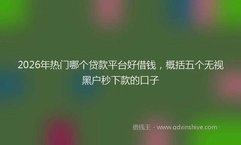 2026年热门哪个贷款平台好借钱，概括五个无视黑户秒下款的口子