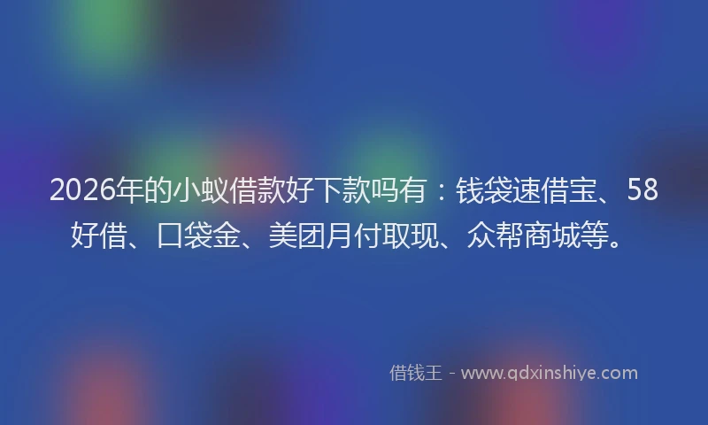 2026年的小蚁借款好下款吗有:钱袋速借宝、58好借、口袋金、美团月付取现、众帮商城等。