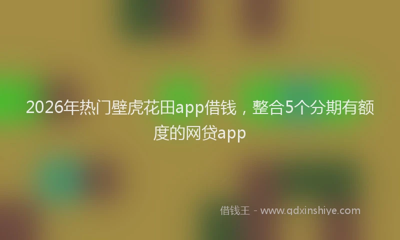 2026年热门壁虎花田app借钱，整合5个分期有额度的网贷app