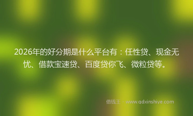 2026年的好分期是什么平台有：任性贷、现金无忧、借款宝速贷、百度贷你飞、微粒贷等。