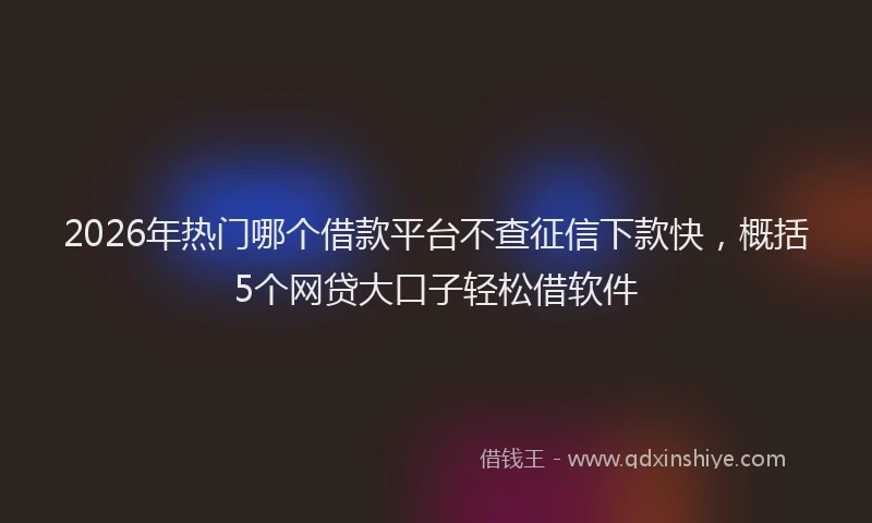 2026年热门哪个借款平台不查征信下款快，概括5个网贷大口子轻松借软件